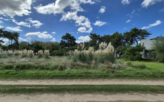 Lote Costa del Este