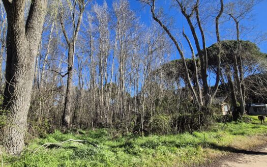 Lote en Costa del Este