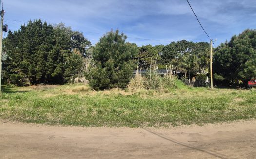 Lote en Los Alelíes