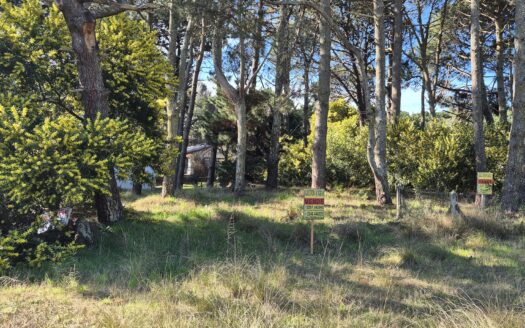 Lote en Av 4