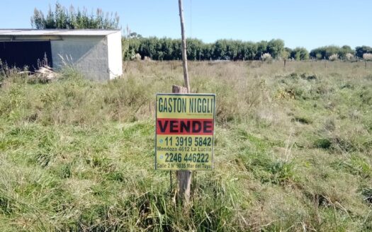Lote en Paraje Pavón