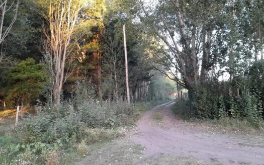 Lote en Aguas Verdes